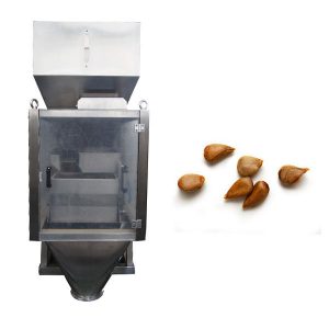 шугаман жин 2 толгой шугаман хуваарь